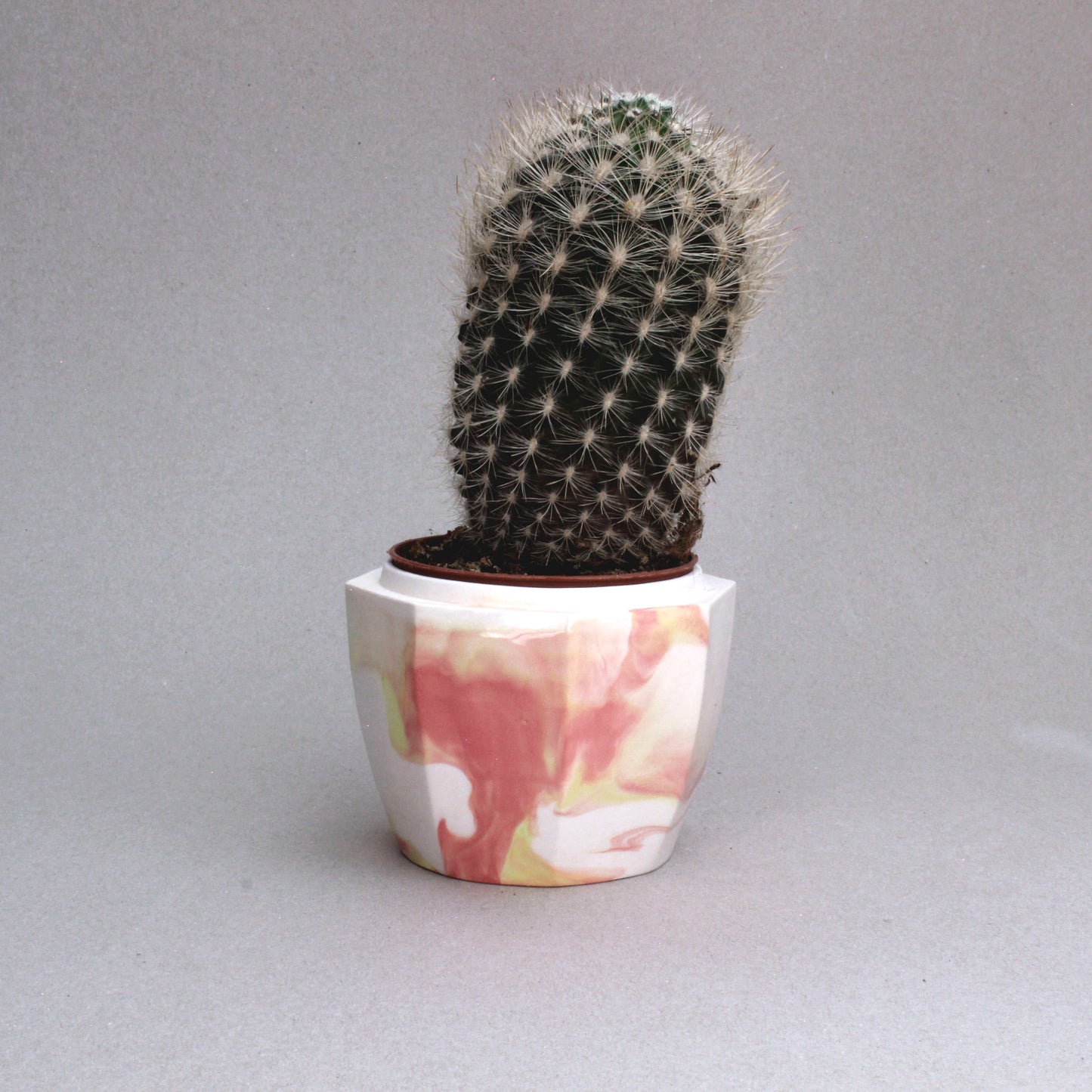 Solaris - Cache-pot